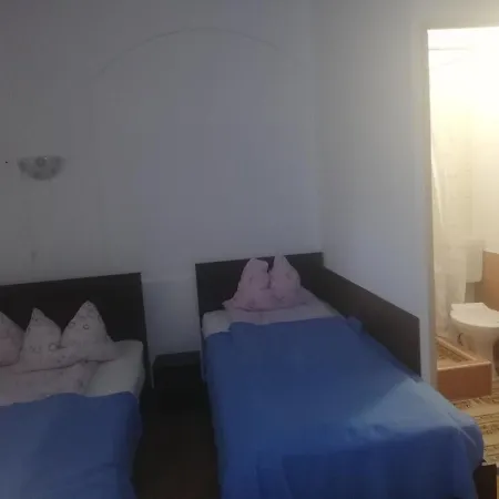 Guest house Leone Cluj-Napoca