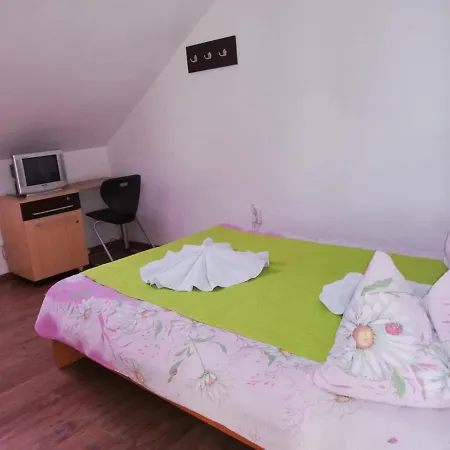 Leone Guest house Cluj-Napoca